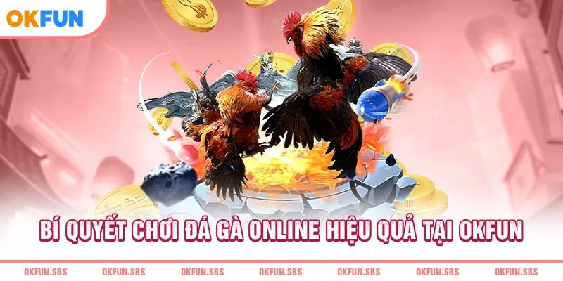 Bí quyết chơi đá gà online hiệu quả tại OKFUN