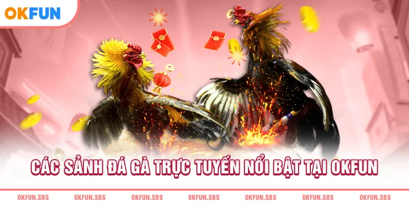 Các sảnh đá gà trực tuyến nổi bật tại OKFUN
