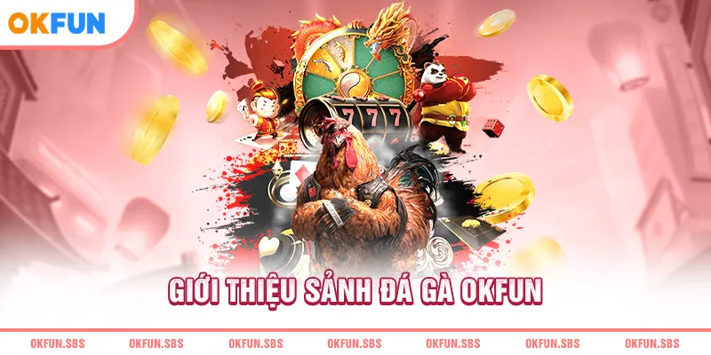 Giới  thiệu sảnh đá gà OKFUN