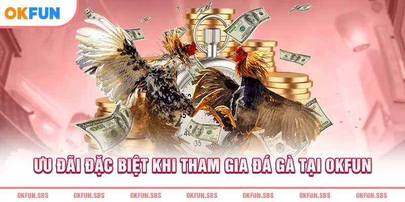 Ưu đãi đặc biệt khi tham gia đá gà tại OKFUN